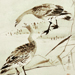 Sekkei Yamaguchi Gallery